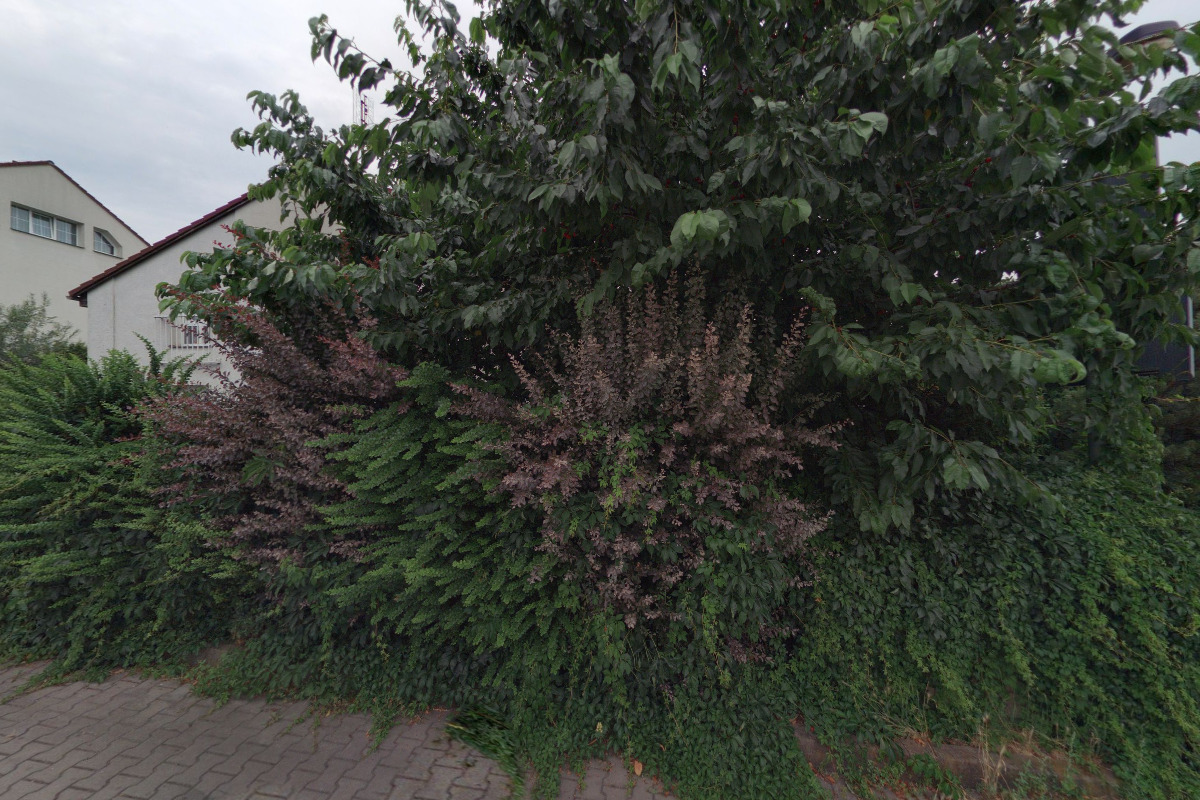 GREENBERG Consulting, s.r.o.