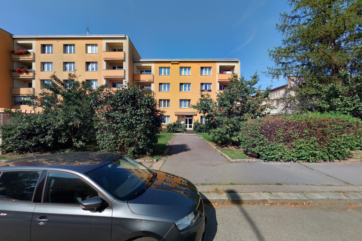 All for Carp Service foto 2