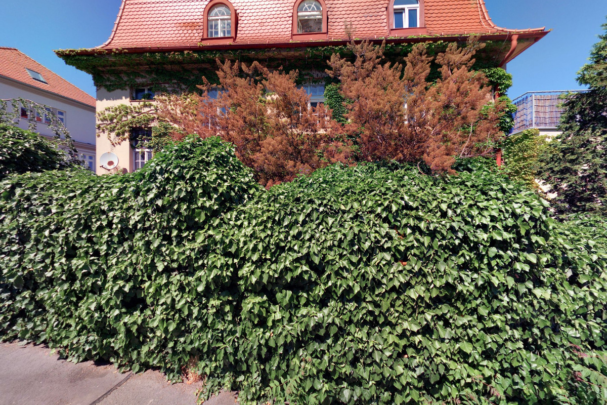 Krajskelisty.cz foto 2