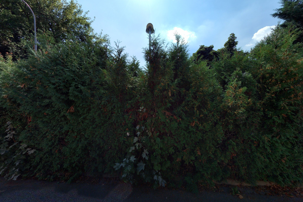 Pizzeria Ristorante SUL CAMPO