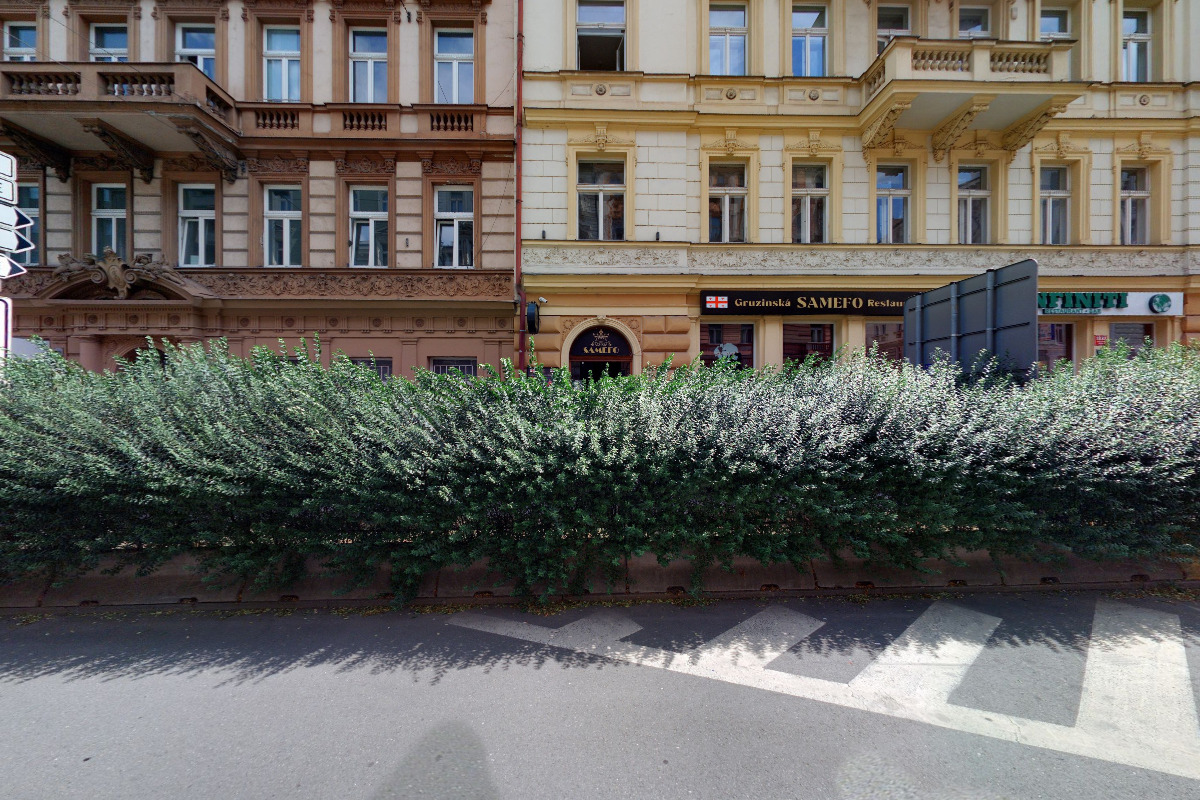 Samefo Restaurace - Georgian Cuisine foto 6