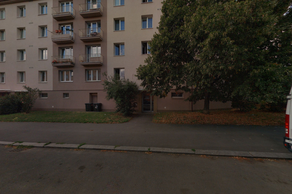 Stříhání psů - Petra Kottová foto 1