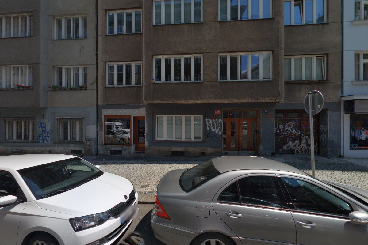 Liška mazaná foto 3