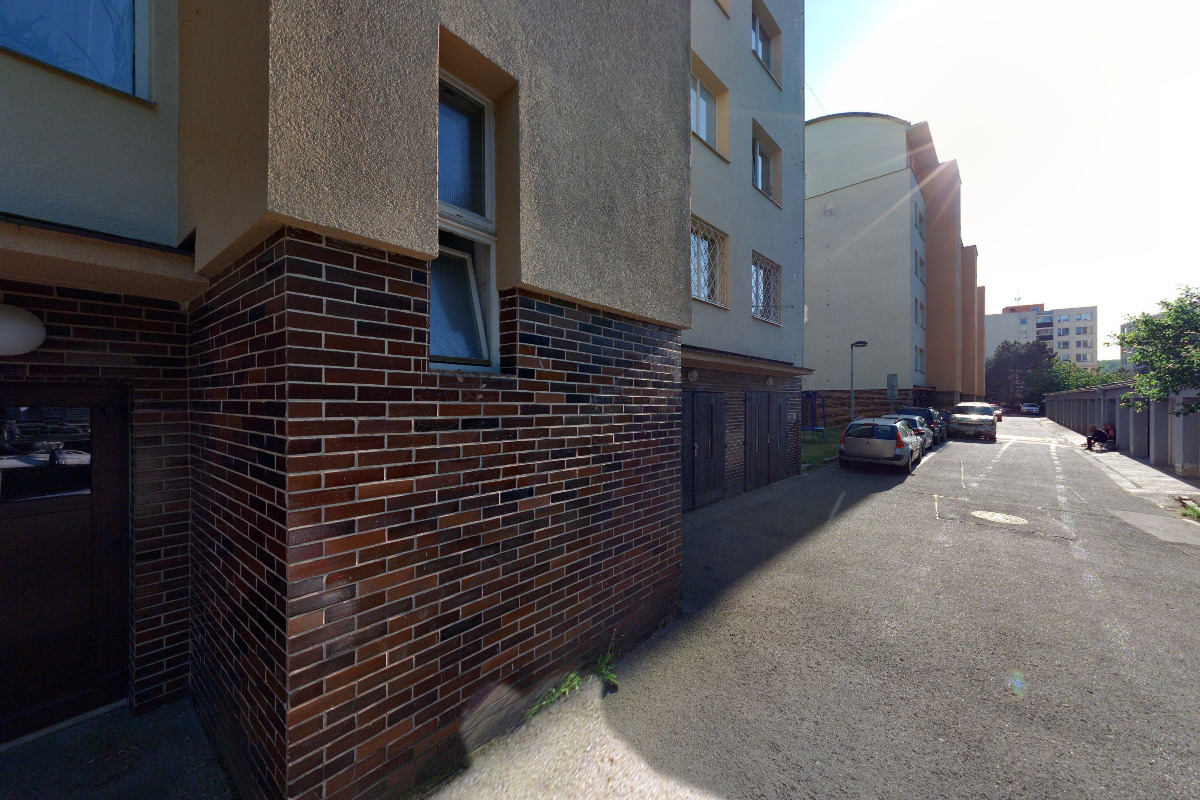 Úprava srsti psů - Soňa Daňková