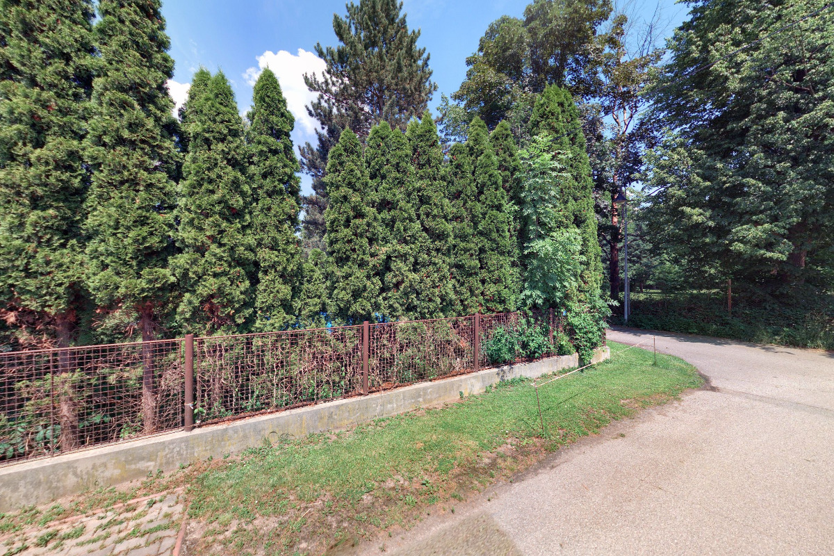 Junák - český skaut, středisko Lesní Moudrost Dobřichovice