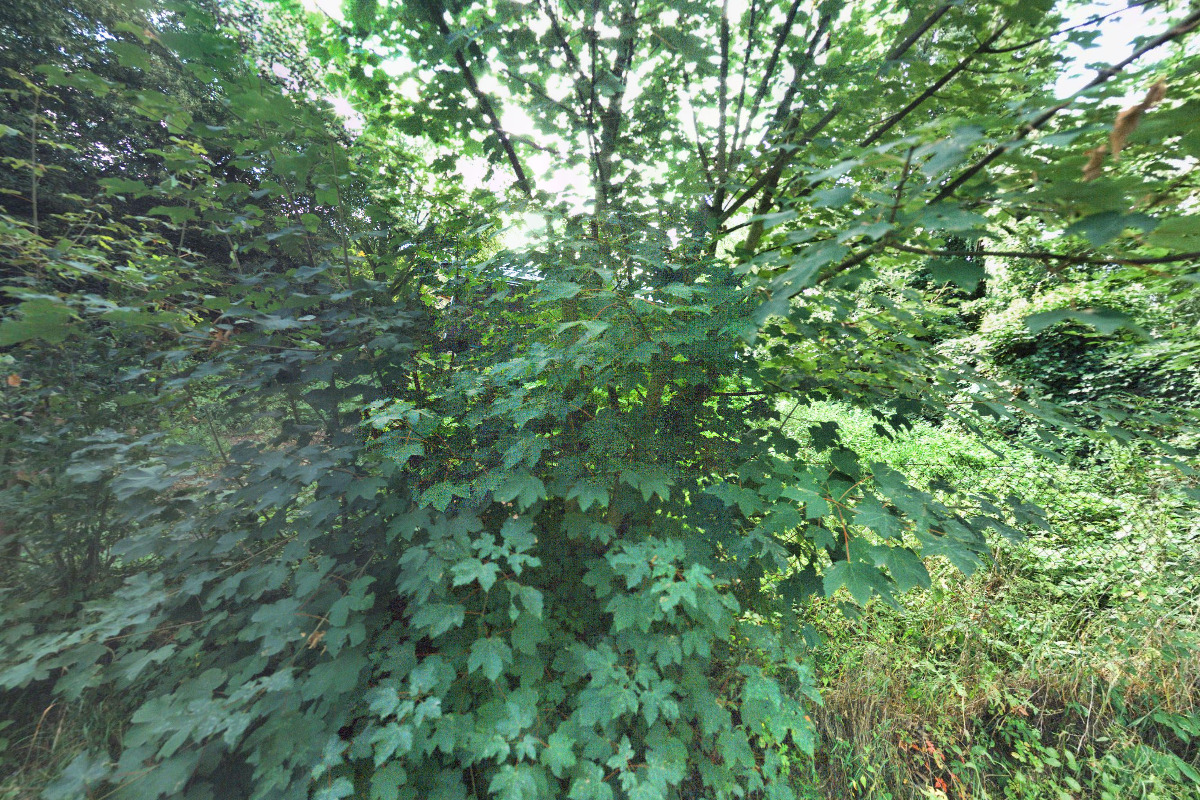 Tělocvičná jednota Sokol Dobřichovice