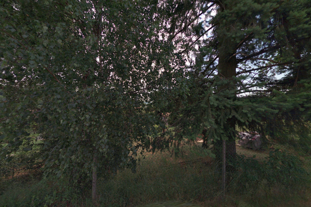 Lesnické práce Zavřel