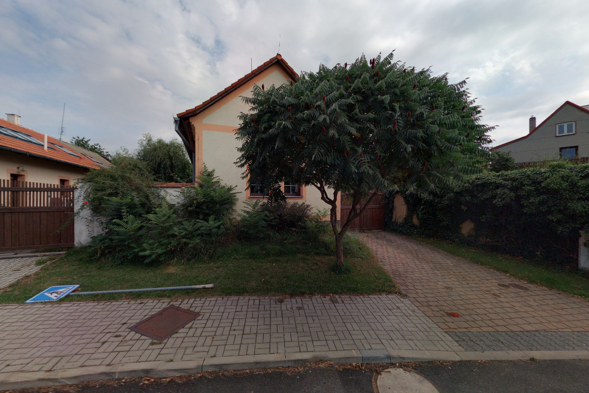 Živa foto 2