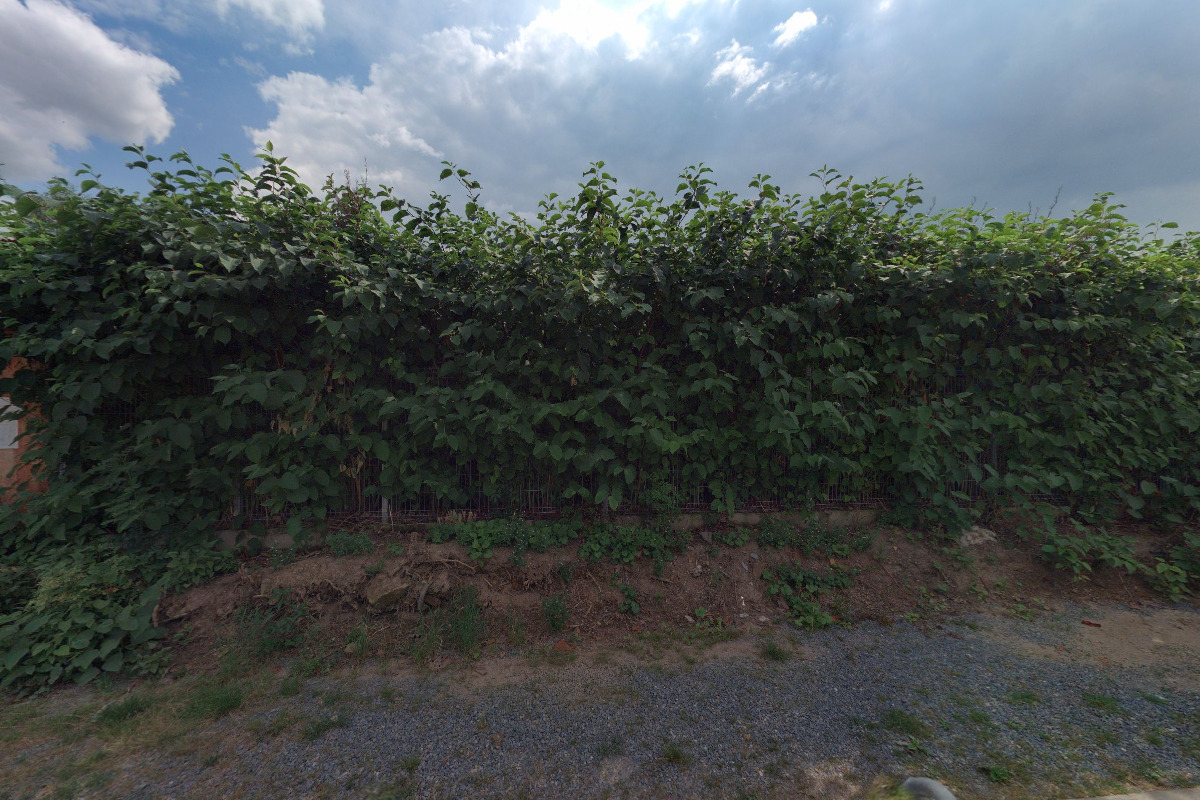 Renovace Erbos - dílna