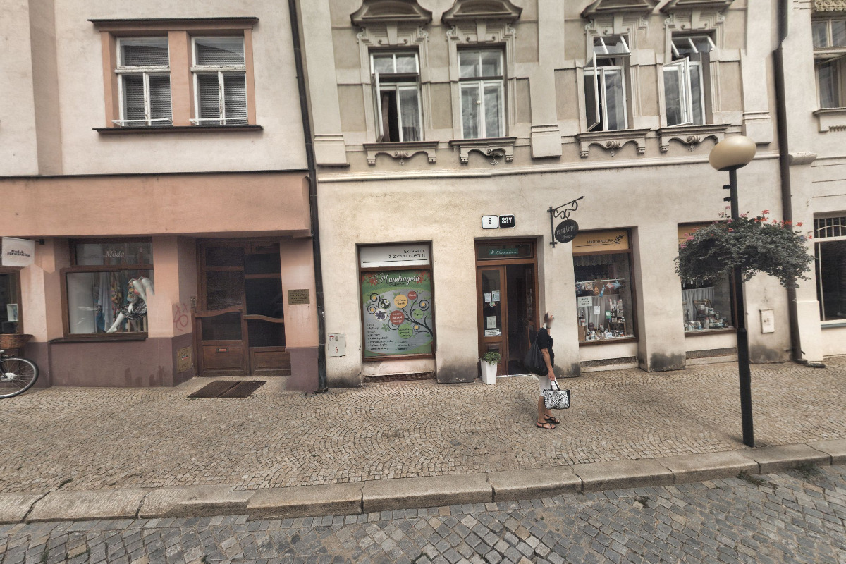 Mandragora bylinkářství foto 2