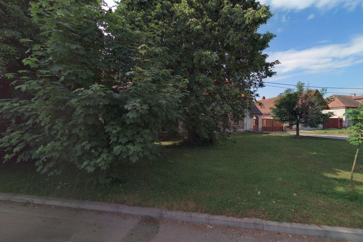 Palivové dřevo - Miloslav Krpelan