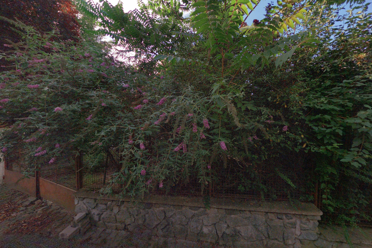 ARCHEONET, nadační fond