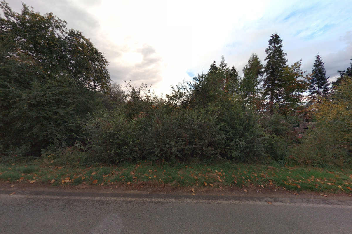 Palivové dřevo Český Brod foto 5