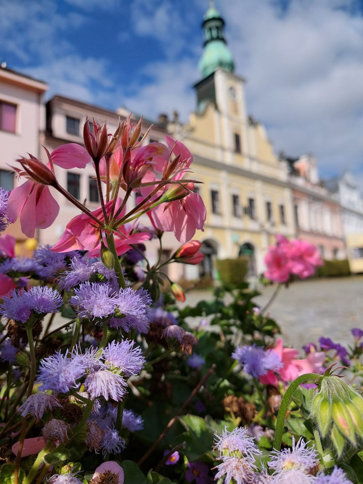 Městské informační centrum Rychnov nad Kněžnou foto 3