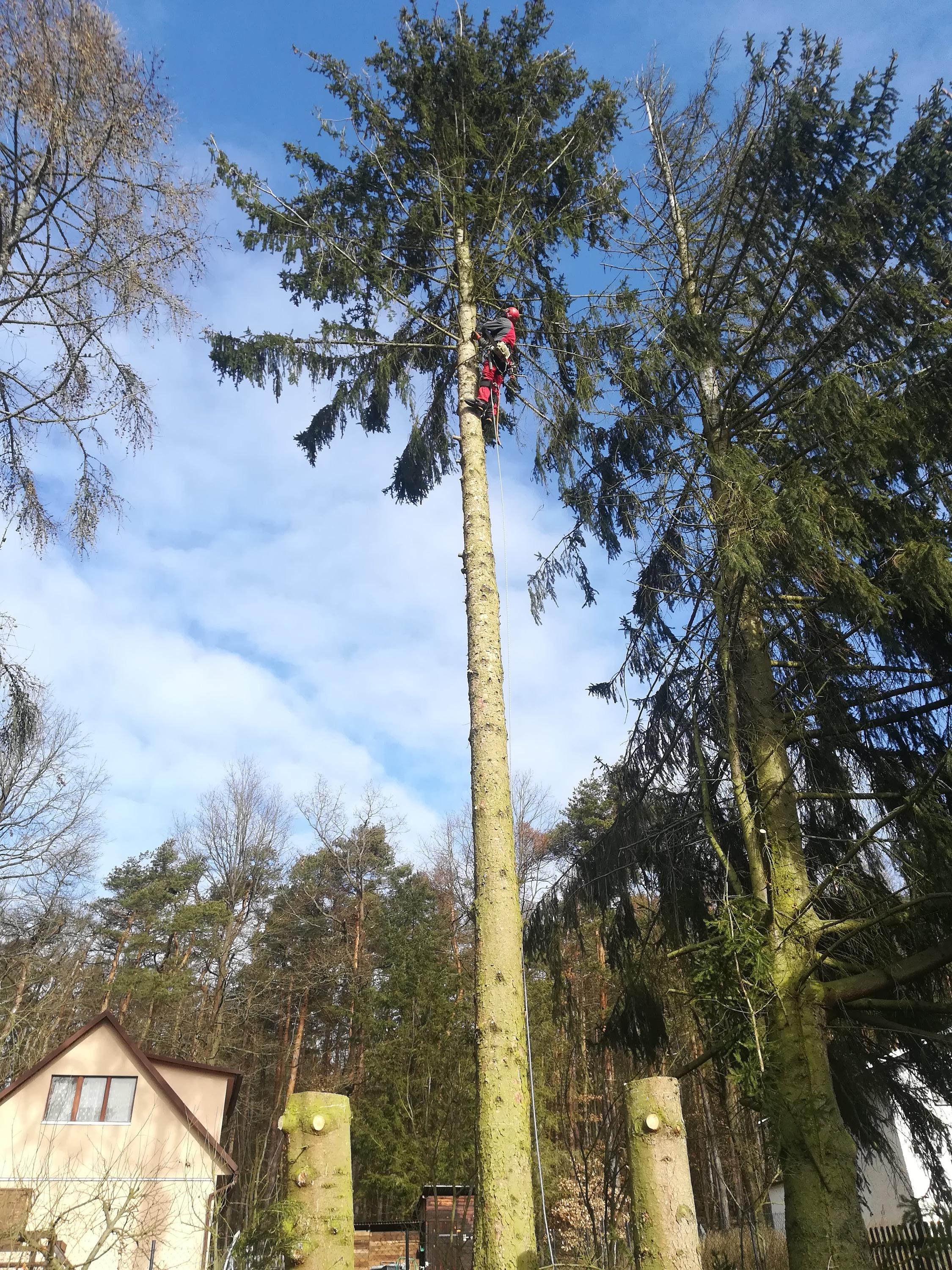 Rizikové kácení Vlastimil Kovář a spol. foto 2