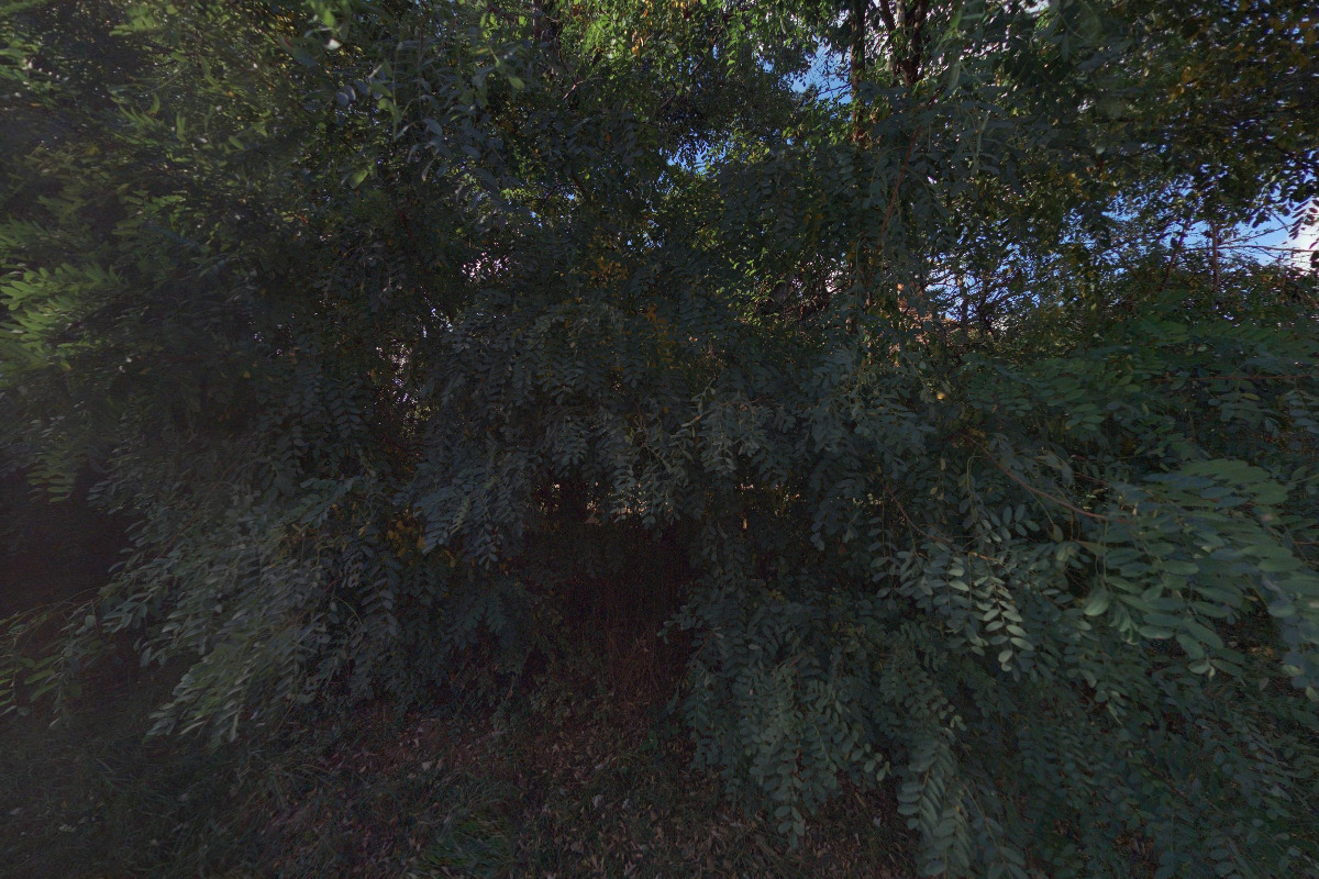 MUDr. Danuše Holešinská