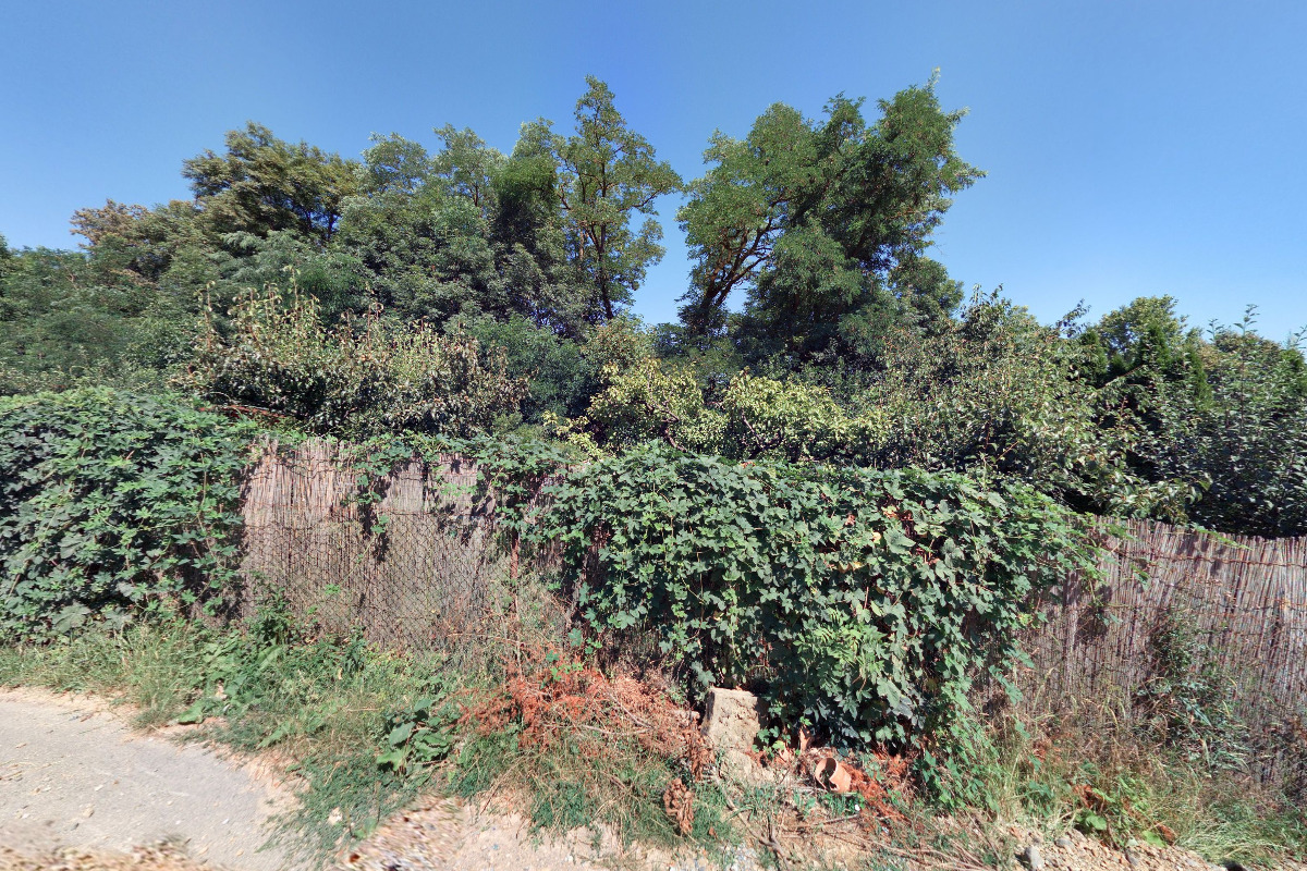 Včelařské muzeum foto 5