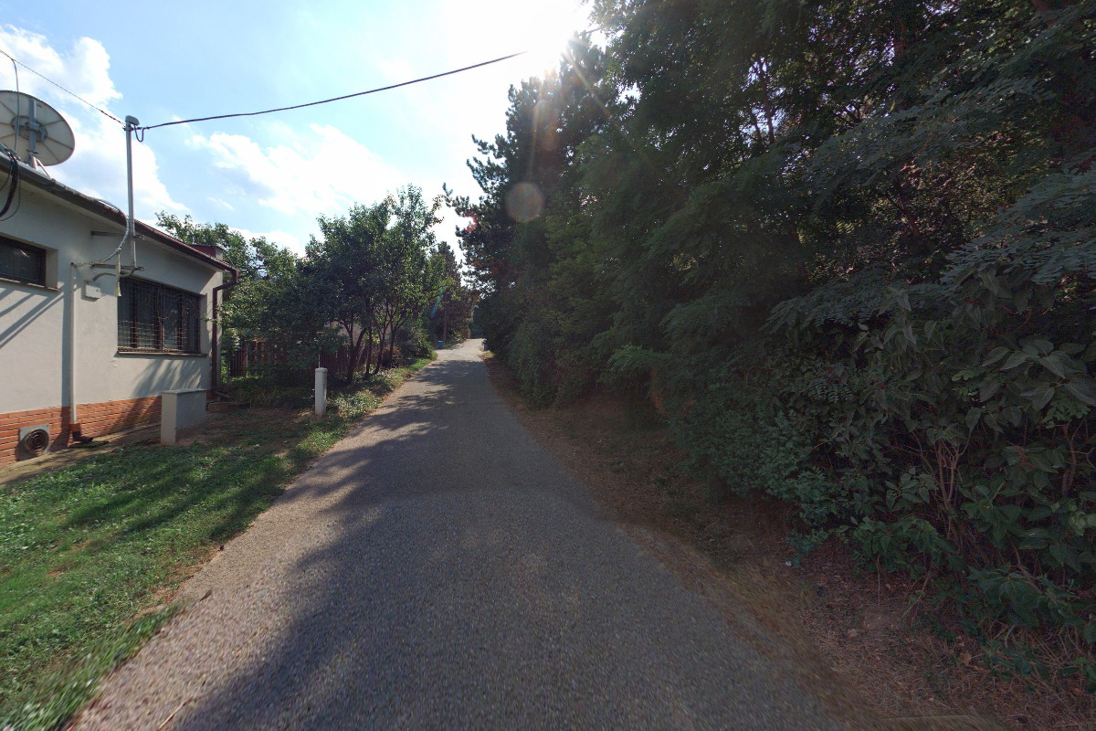 Sršni Klobouky u Brna foto 3