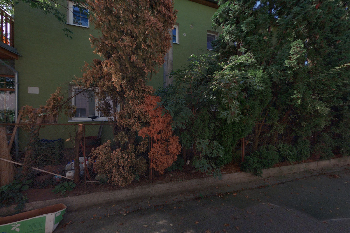 M-SOFT - Ing. Vladimír Pachl