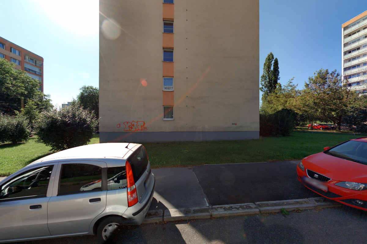 Jaroslava Zahradníková - Jarni květ