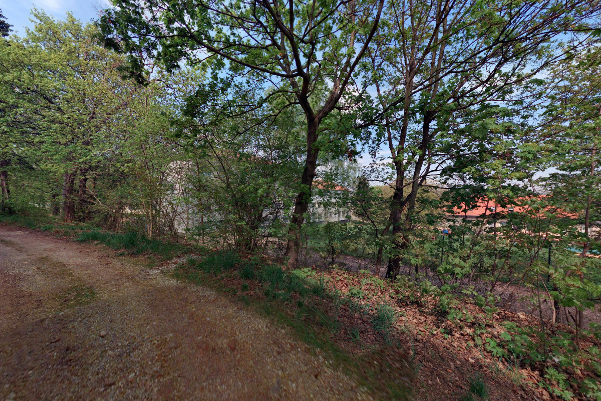 MUDr. Lucie Viková Ginterová, všeobecný praktický lékař, s.r.o. foto 6