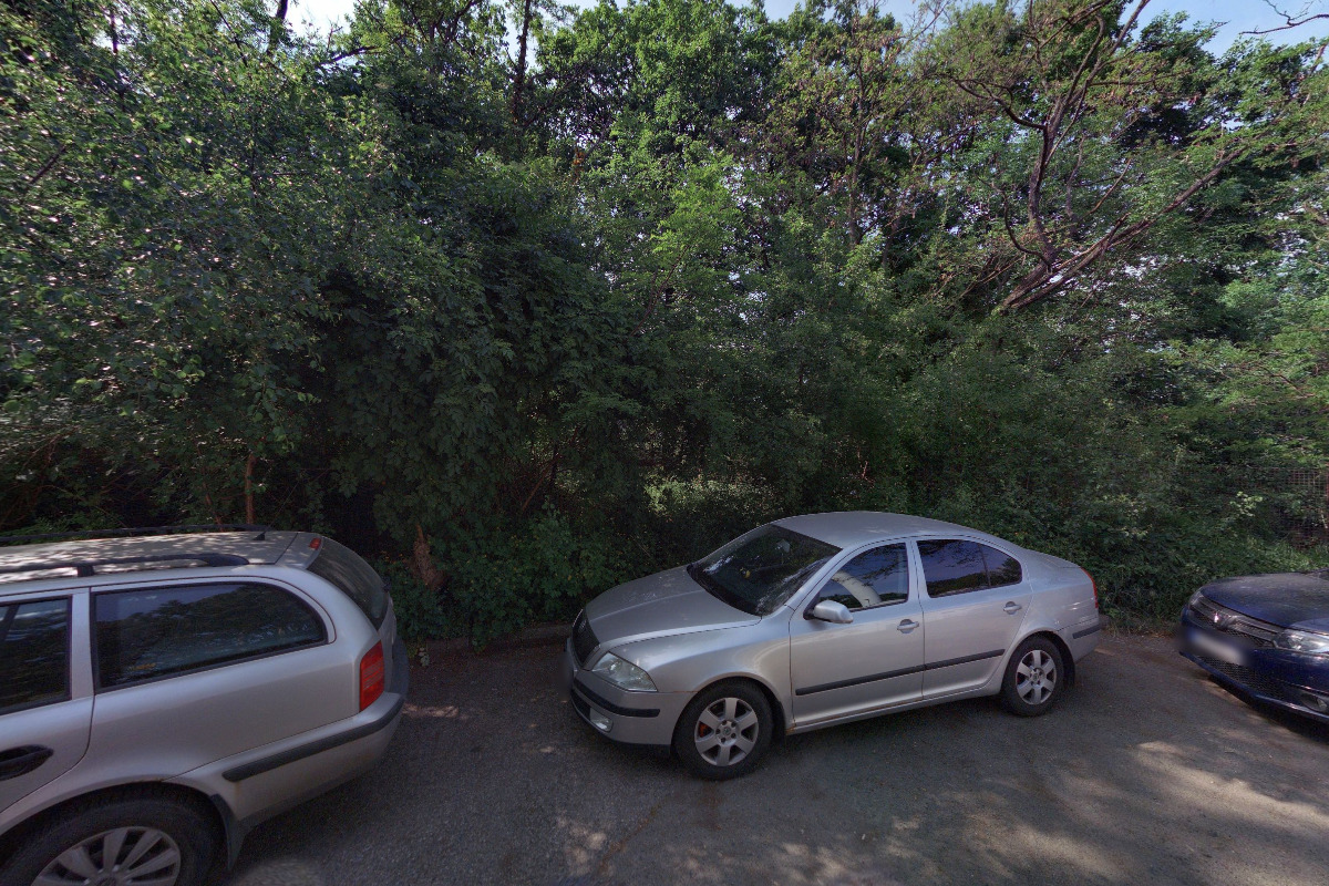 Letní kino Sokolák foto 3