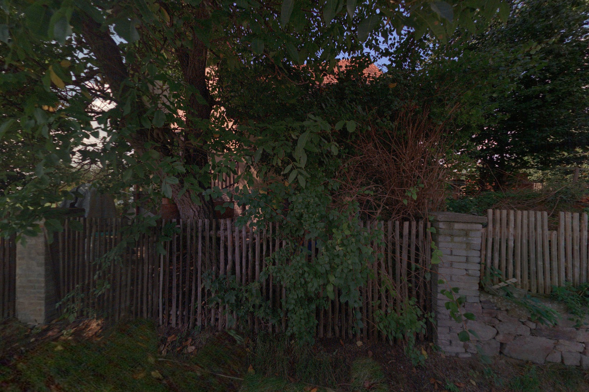 Robert Andraši foto 2