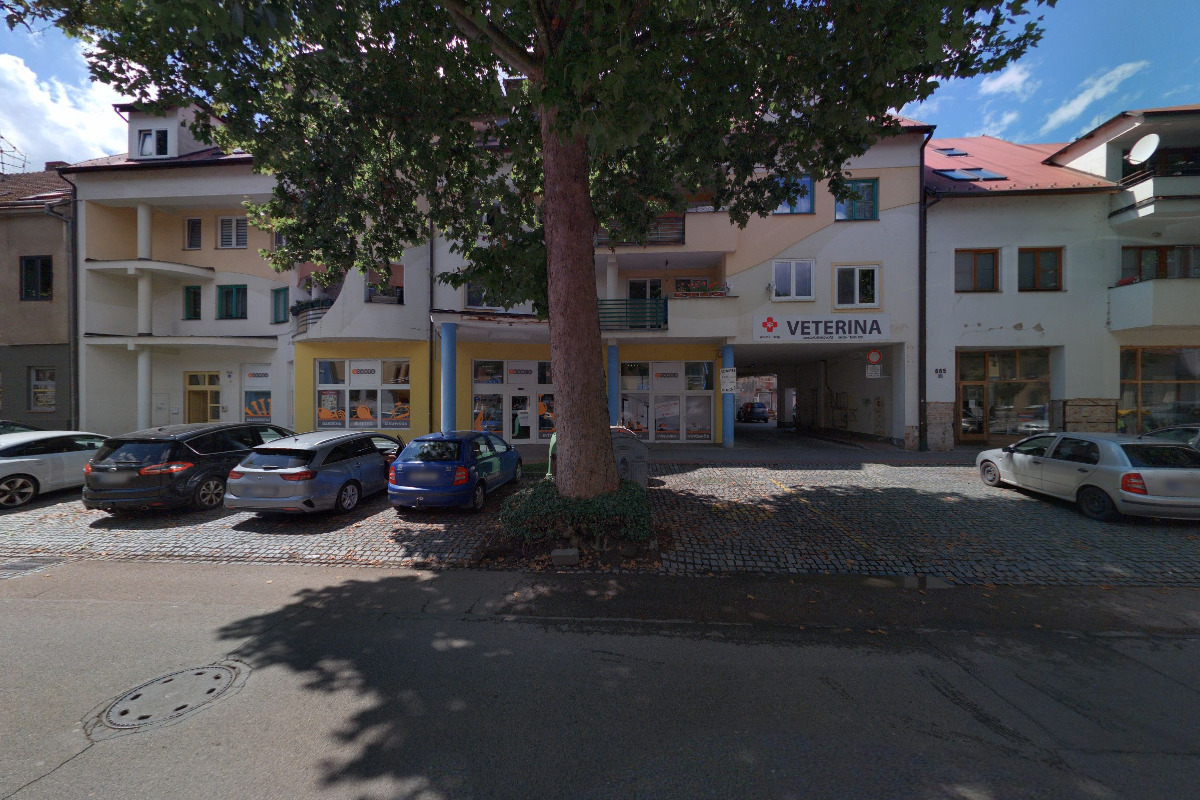 Firma HÁNA - Malířství & natěračství