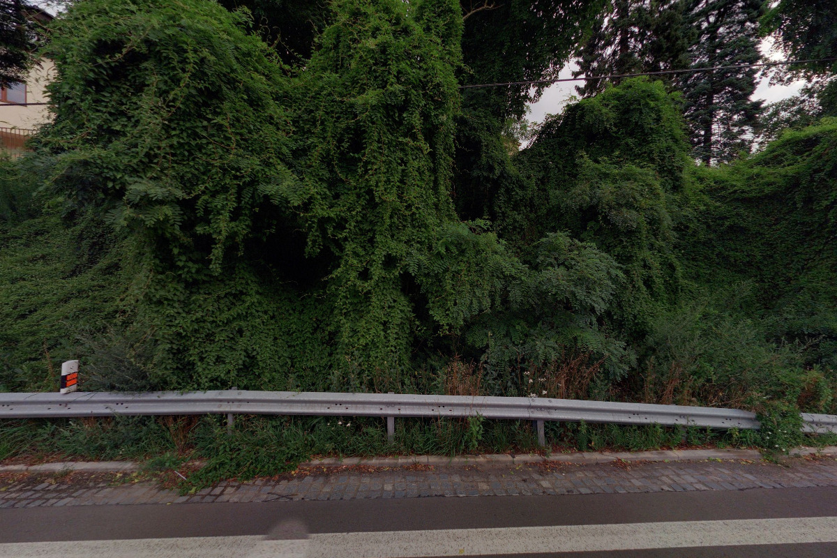 Výzkumný ústav lesního hospodářství a myslivosti, v.v.i.