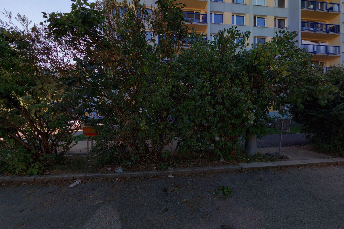 Živá poradna, Mgr. Zorka Pekařová