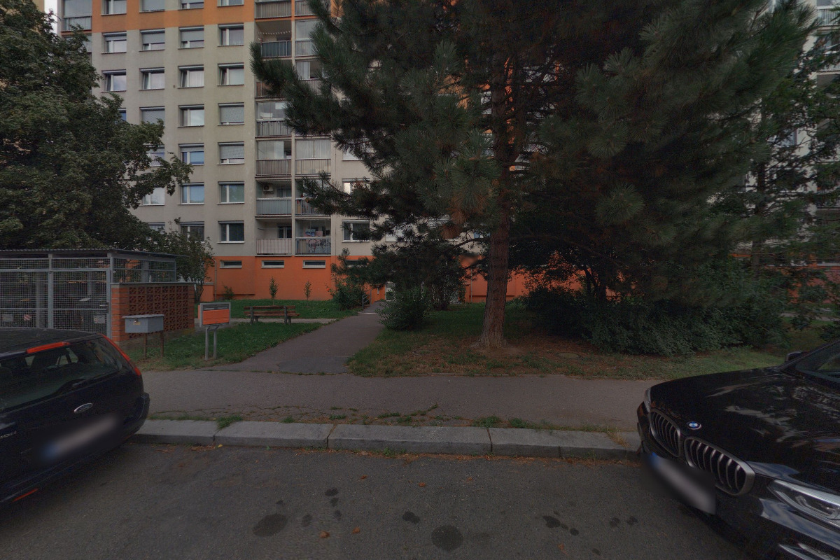 Dr. Milan Hradec - odhady cen foto 2