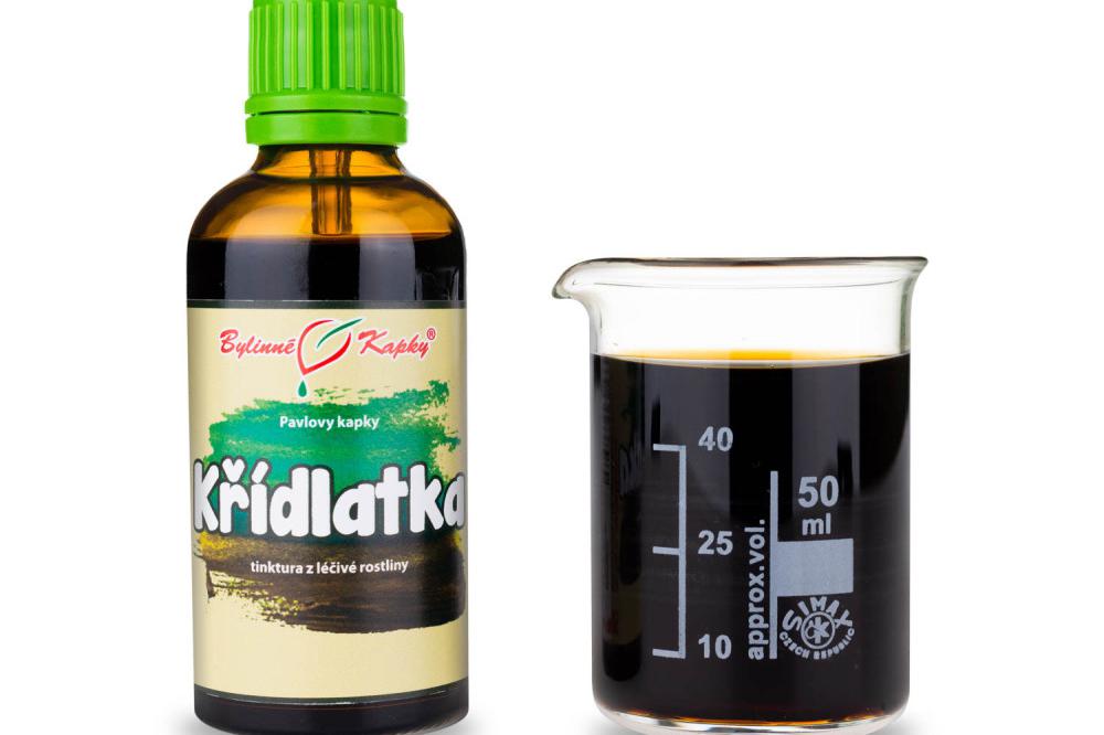 Křídlatka tinktura. Pravá křídlatka - borelióza.