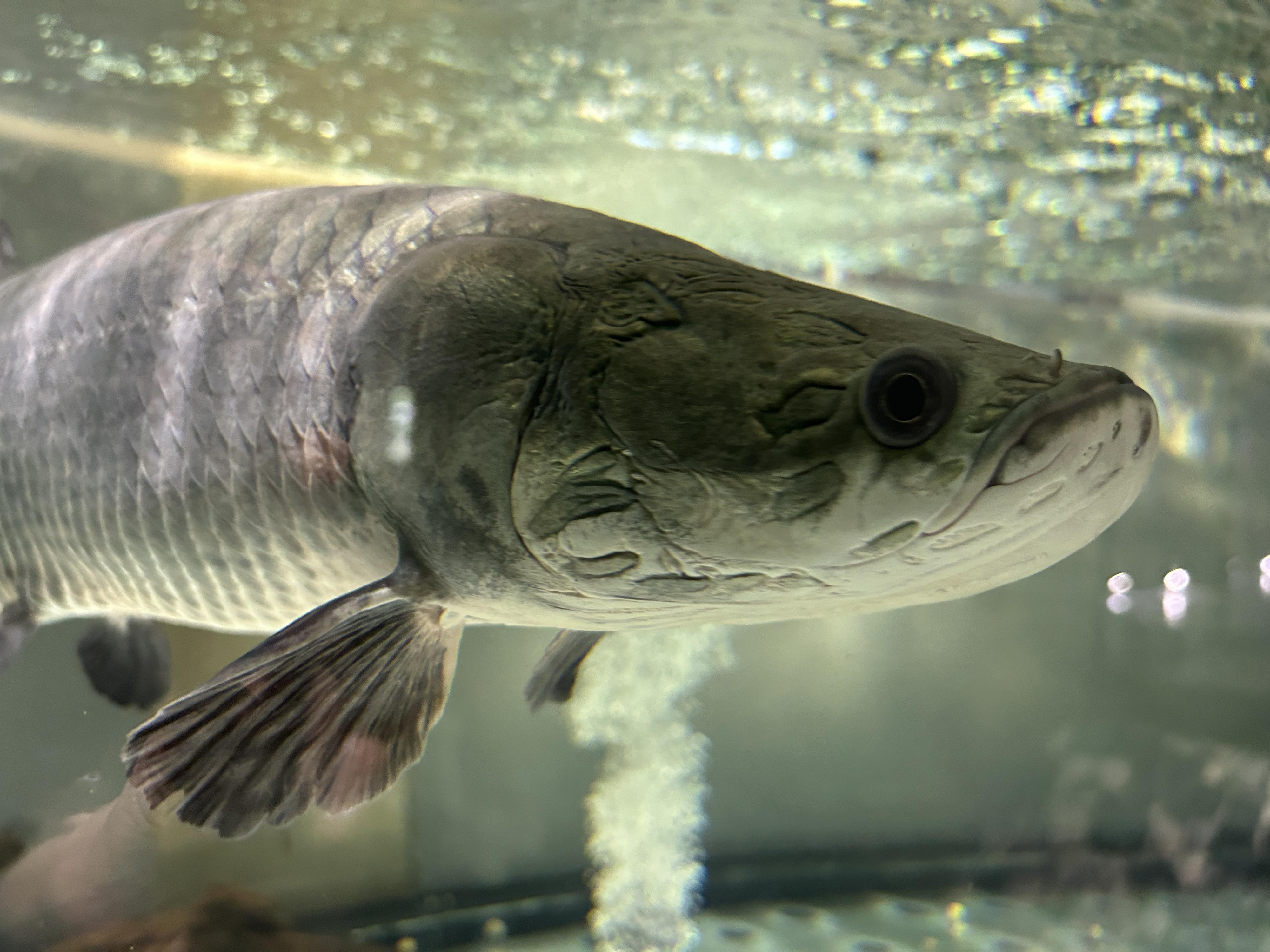 Vodní MiniZOO Baška foto 3