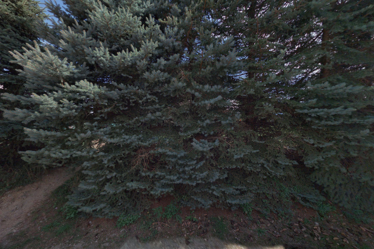 Jan Suchánek - stavební práce foto 1