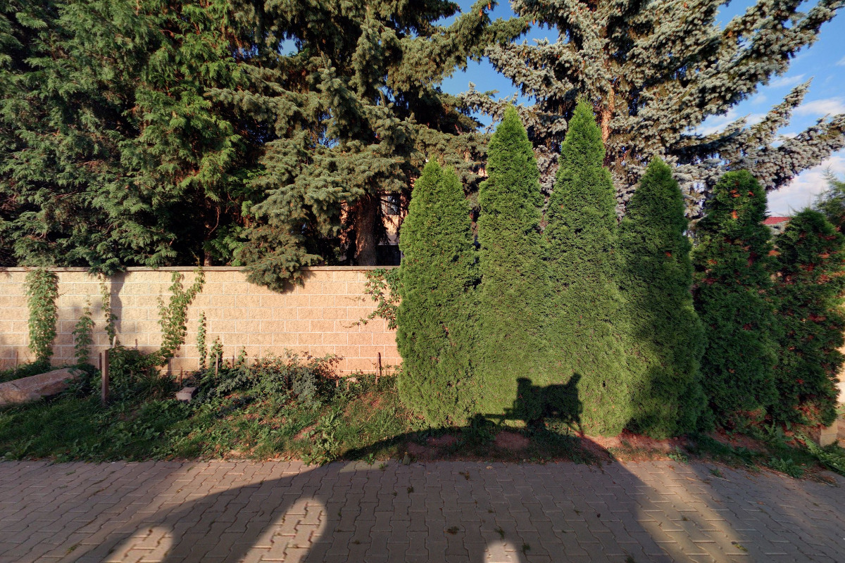 Autodoprava a zemní práce - Václav Čelikovský foto 2