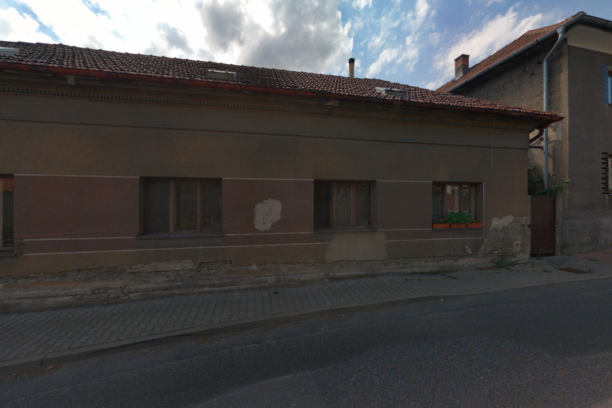 CONIFERA Jiří Šafránek