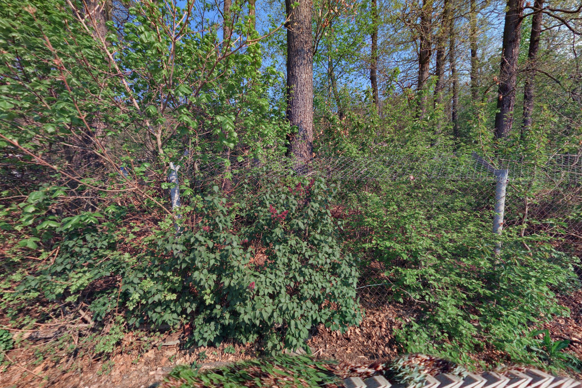 Fotografické a nahrávací STUDIO CUCUMBERS