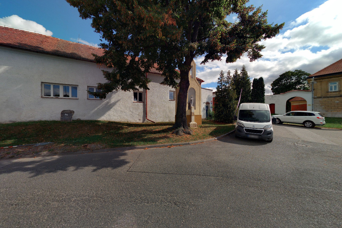 Dřeviny na živé ploty foto 5