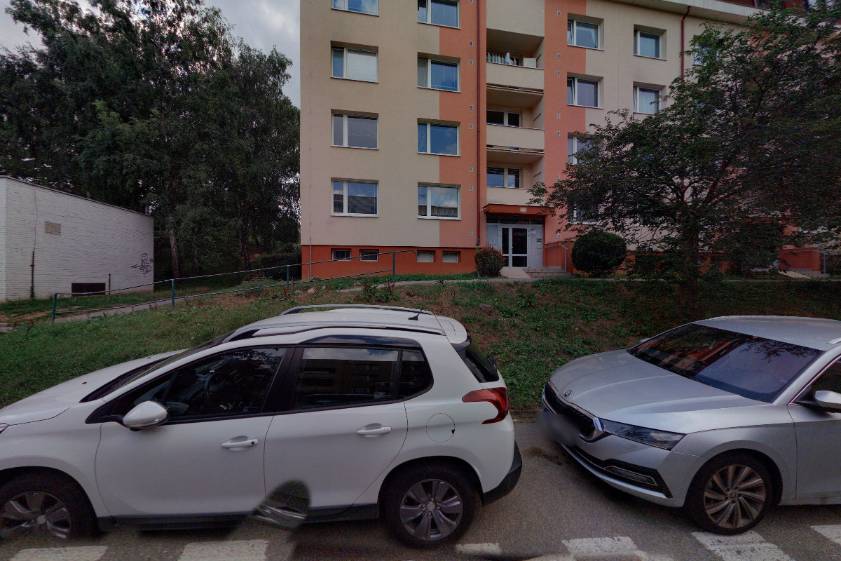 Šárka Surovcová - Překladatelství francouzského jazyka