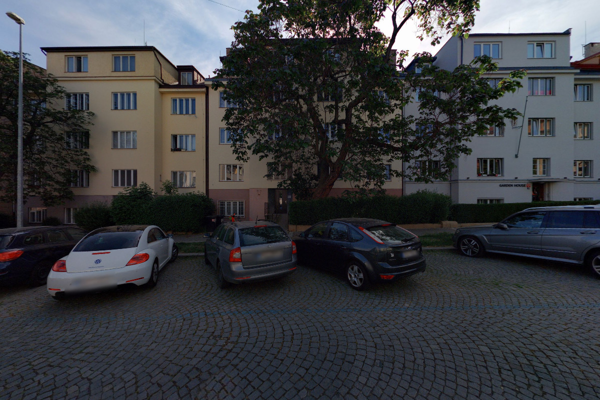 Dvanáct opic, s.r.o. foto 2