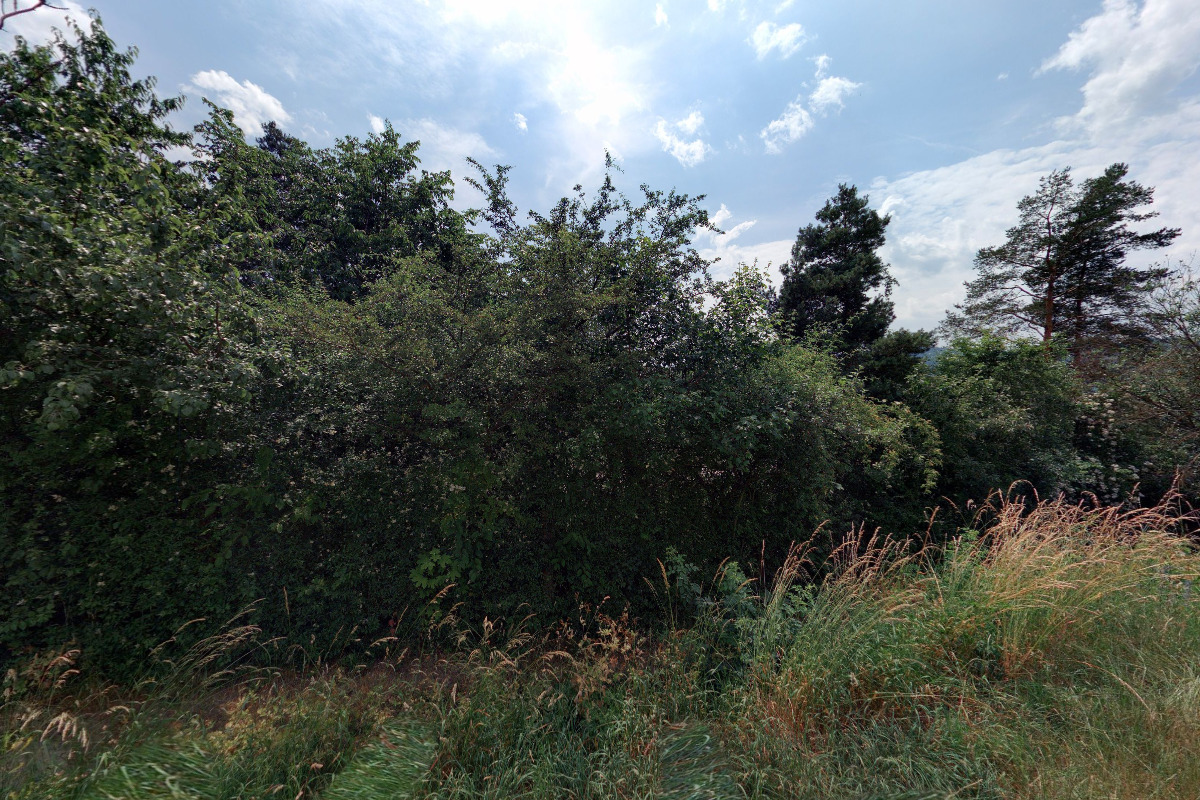 Sportovní hala Údolní foto 1