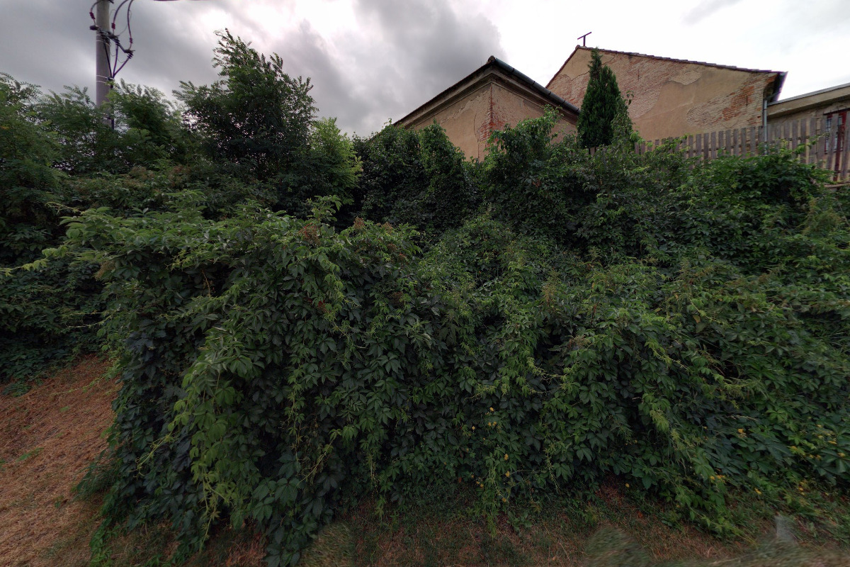 Řeznictví-uzenářství František Šutera