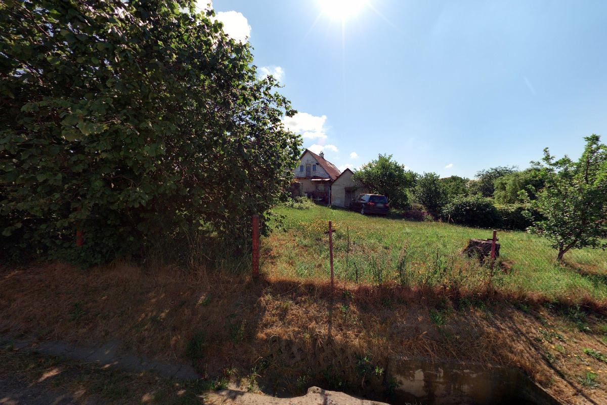 Jana Sobotková - Chovatelská stanice foto 1