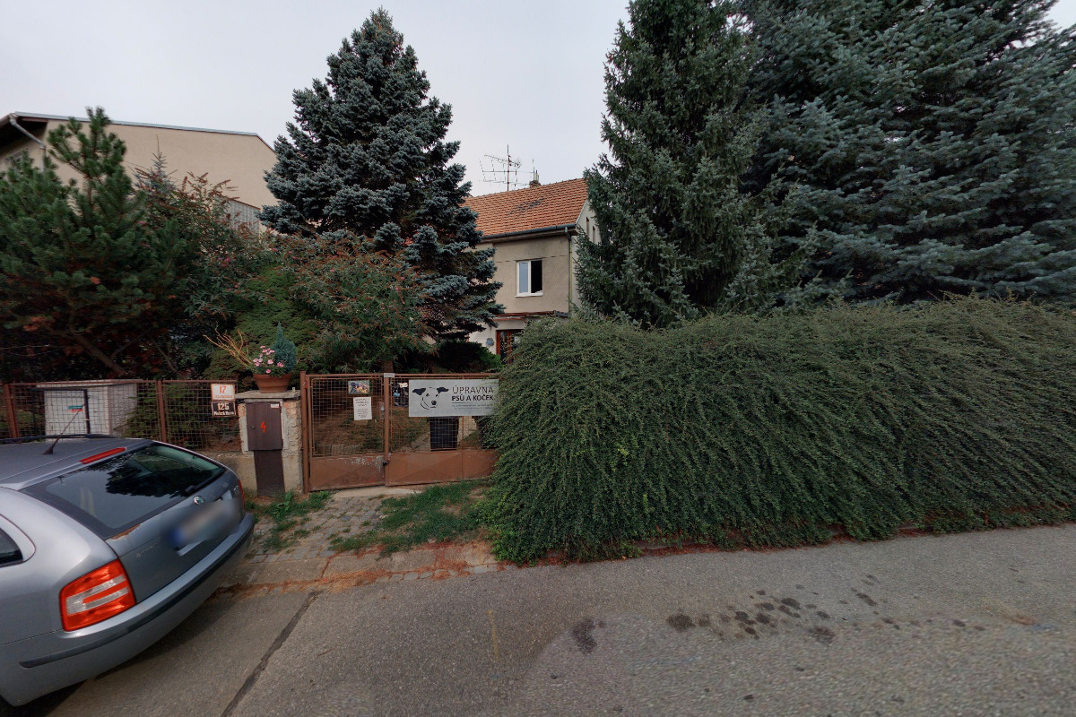 Ing. Milena Neradová - stříhání psů