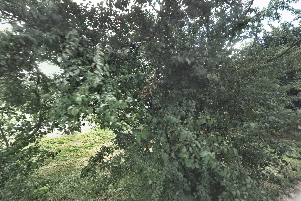 Karavanové stání Sedlec foto 3