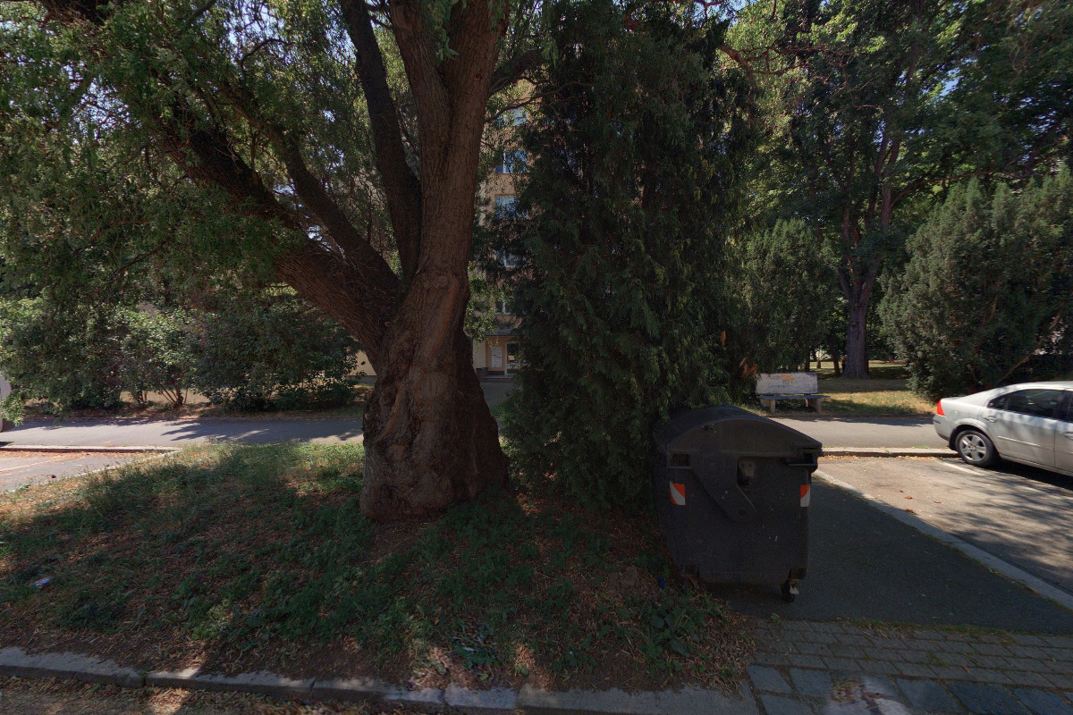 Forestry Instruments