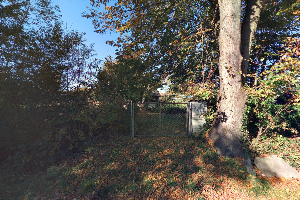 MUDr. Marie Strejcová