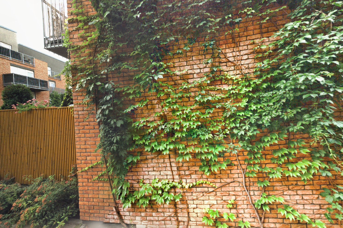 Valenta & syn - Marcel Valenta