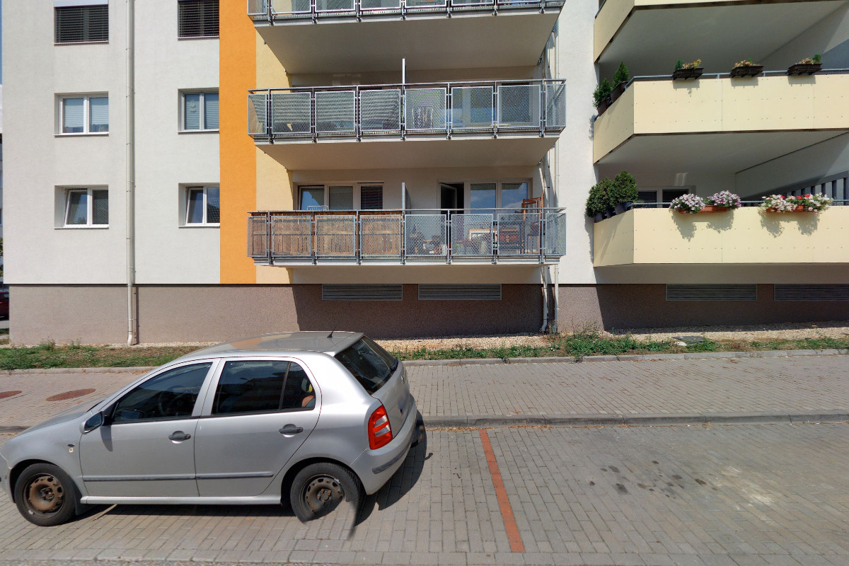 MgA. Daniela Červená