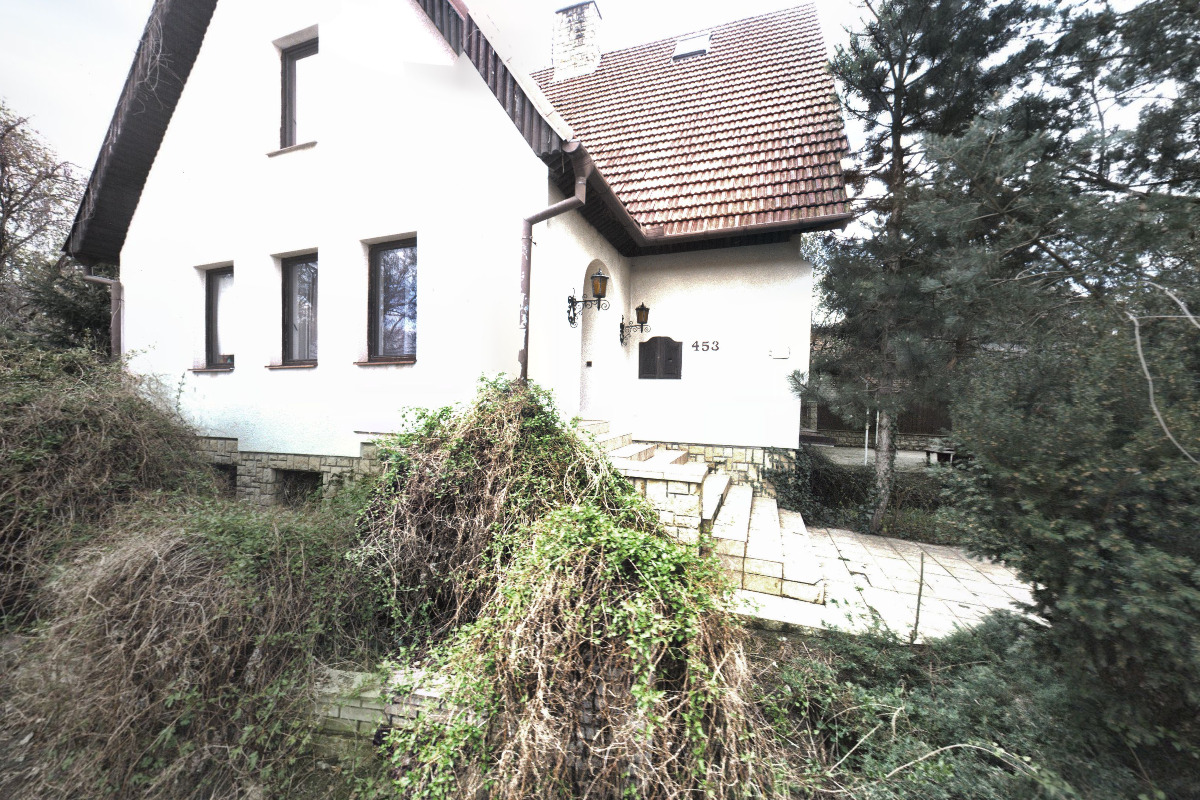 Rychlé občerstvení - Pizza